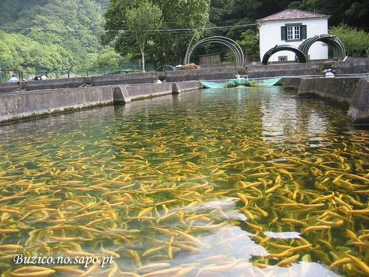 Lugar Chão Da Ribeira Seixal