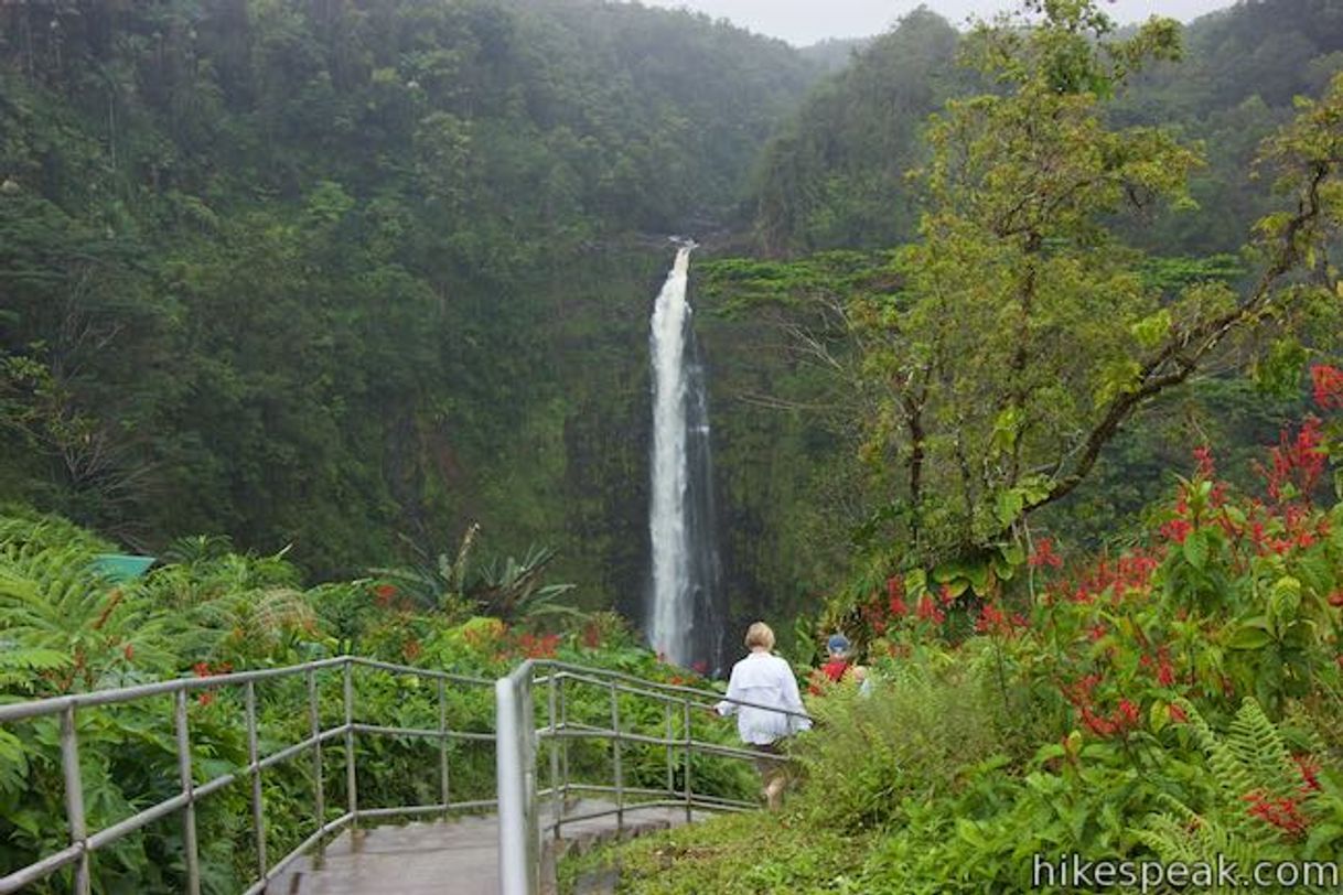 Place Akaka Falls State Park