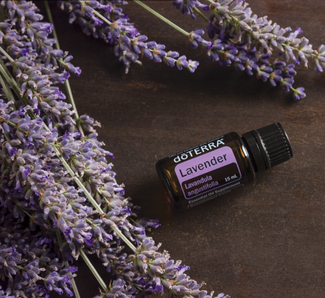 Beauty doTERRA Lavender Essential Oil 15 ml by doTERRA