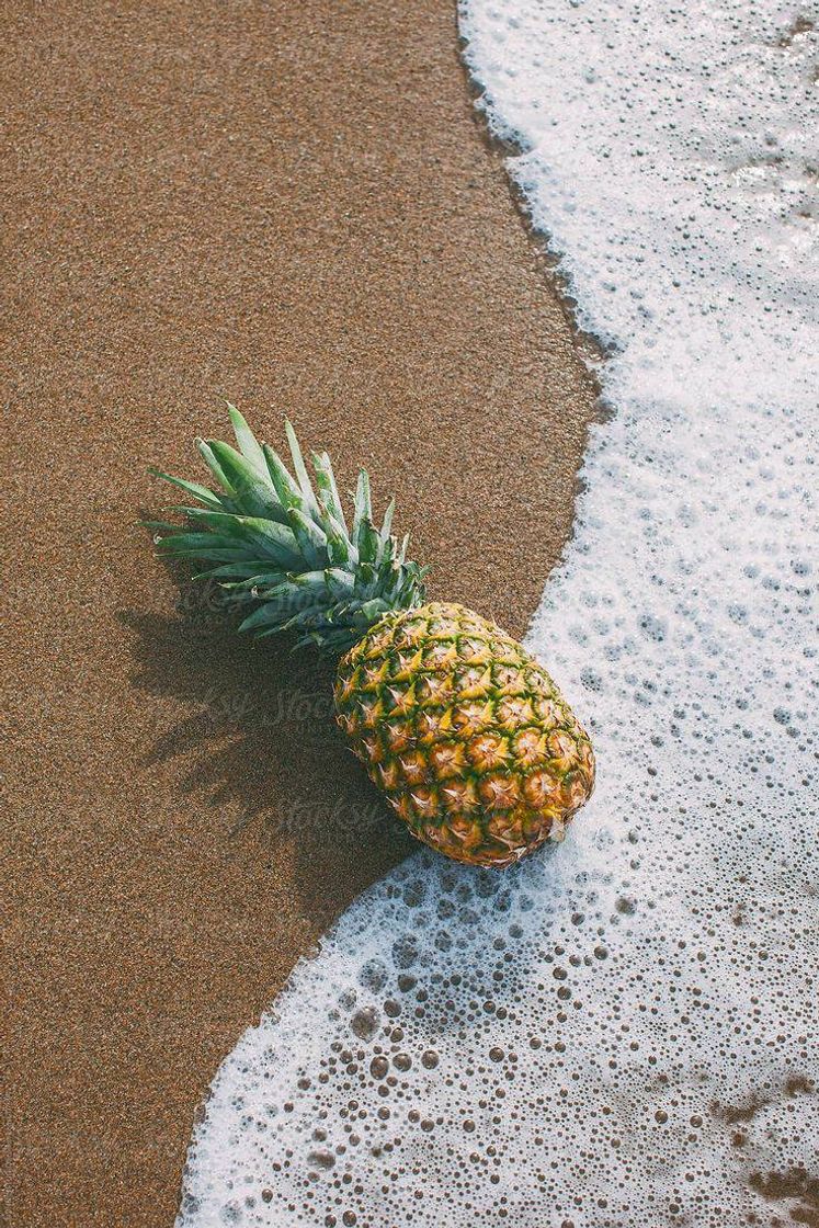 Moda Pineapple on the beach 