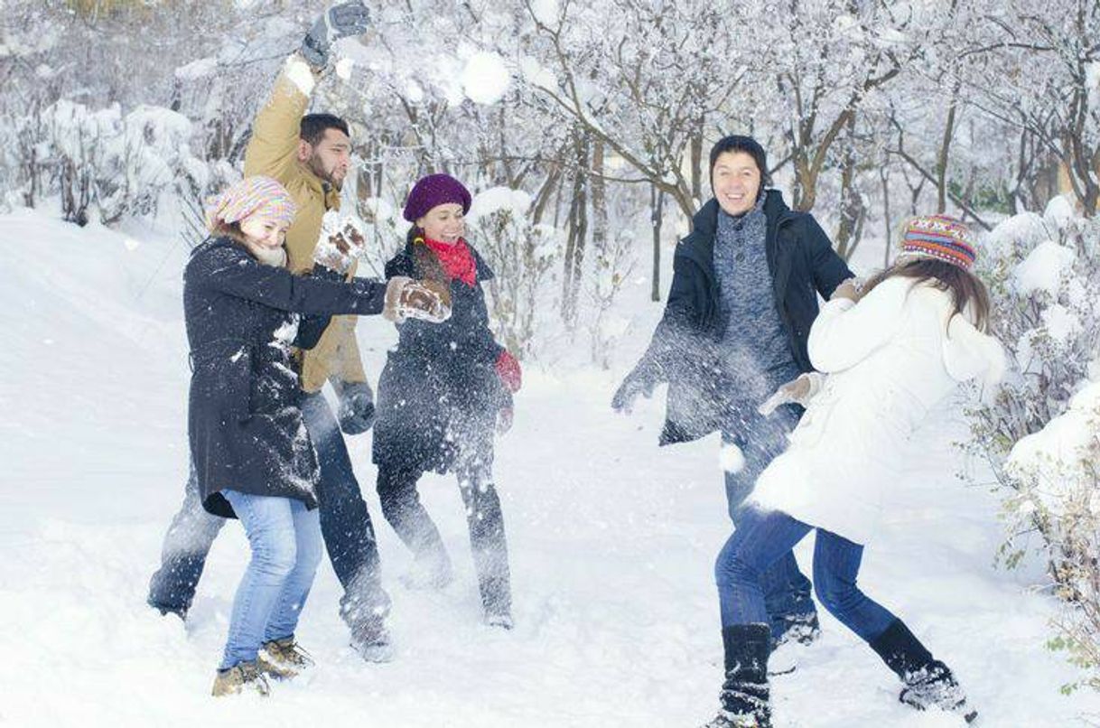 Social Guerra de bola de neve 