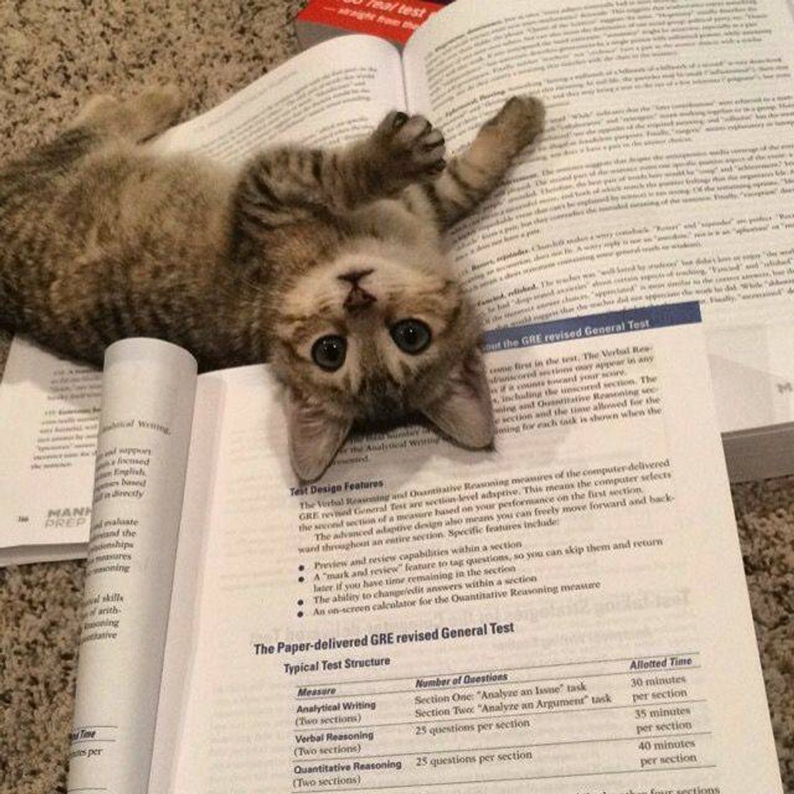 Social Best study buddy
