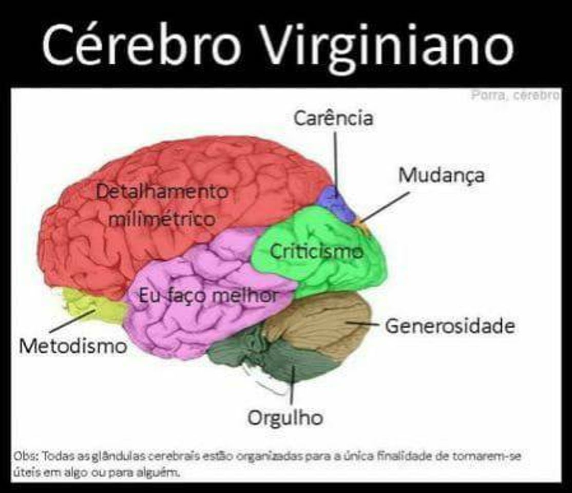 Social Cérebro de virginiano 
