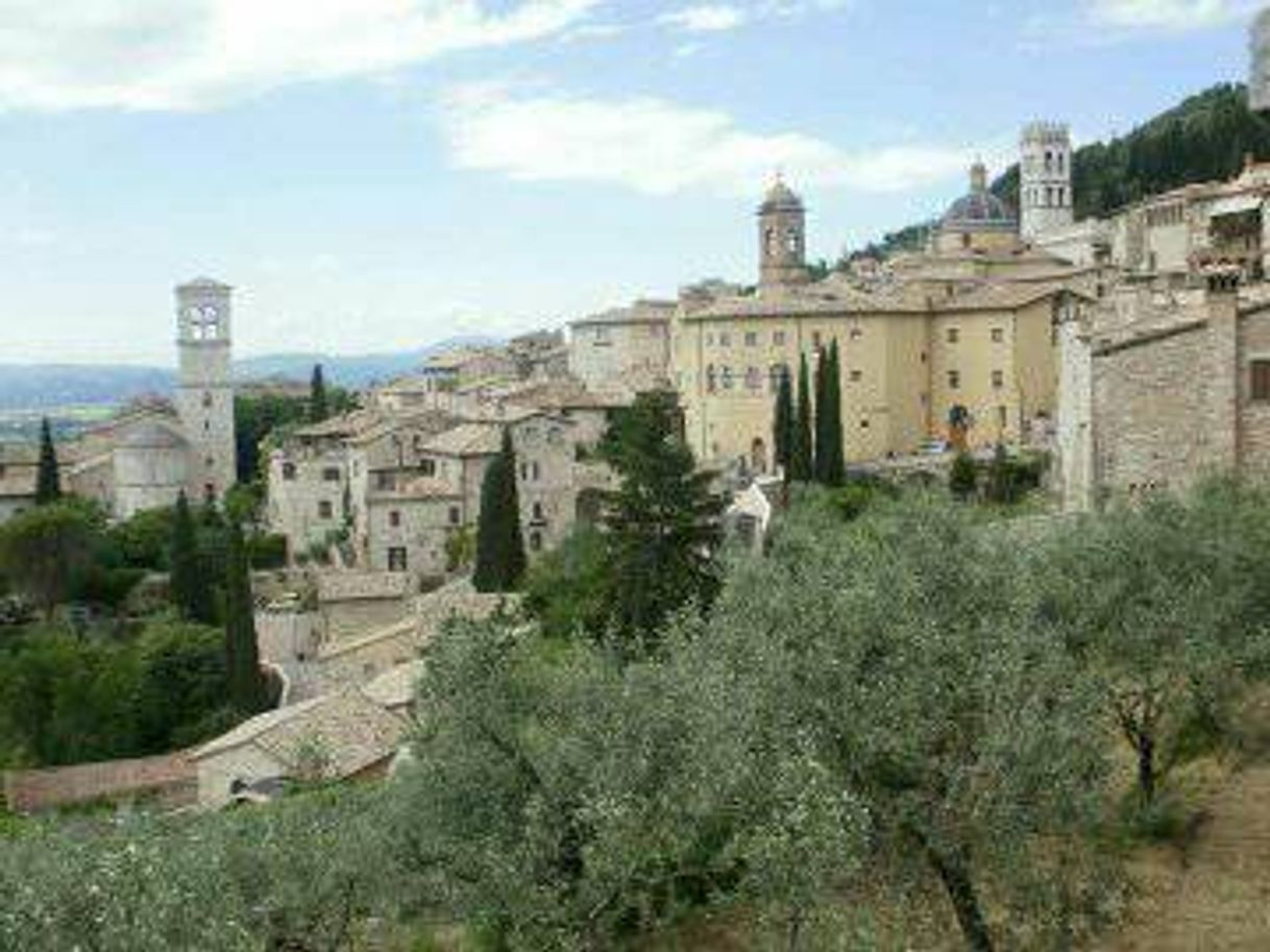 Place Assisi