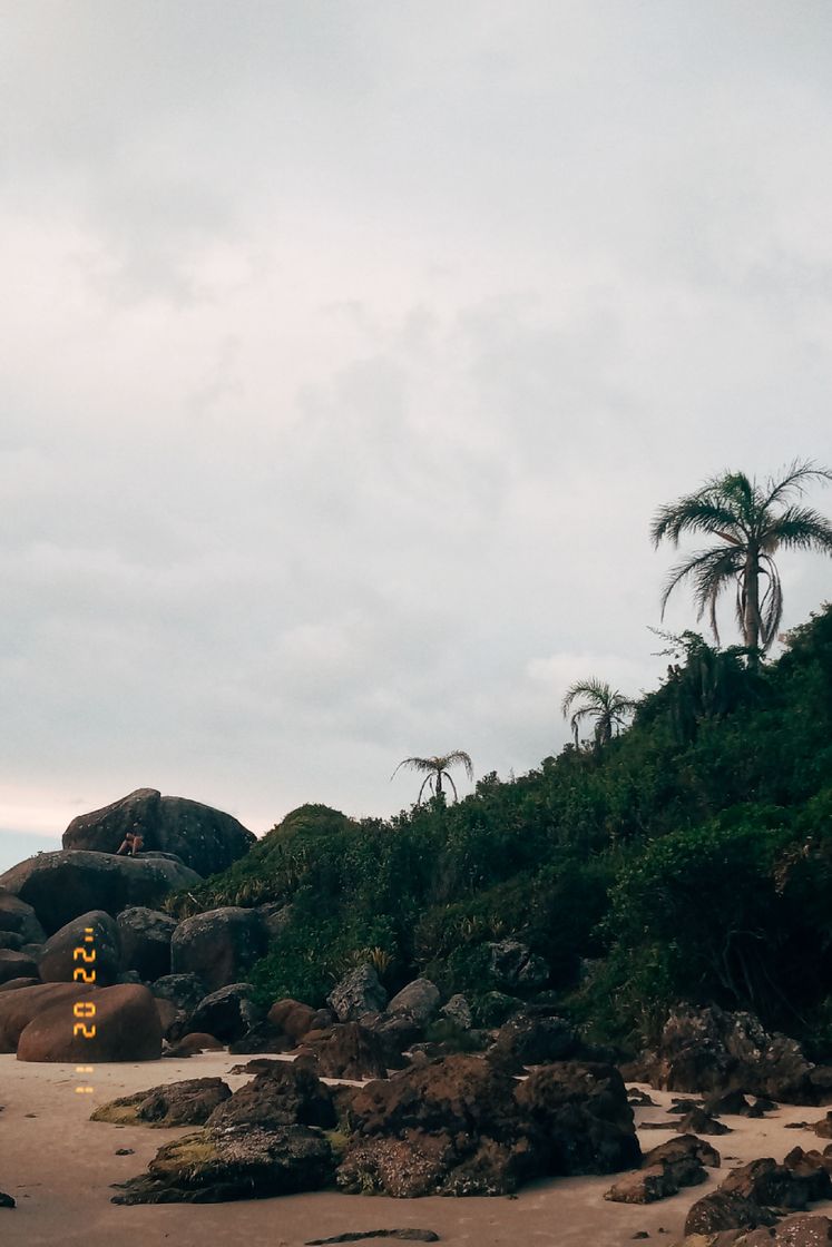 Lugar Florianópolis