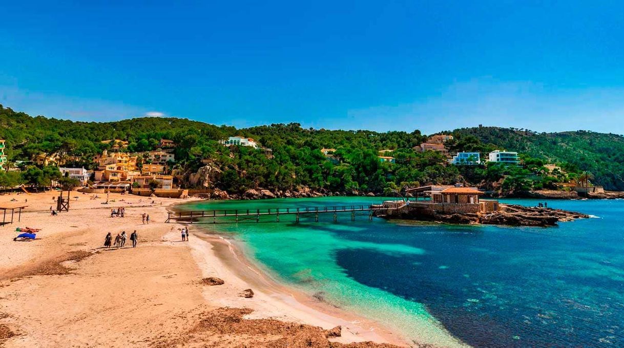 Place Camp de Mar Beach