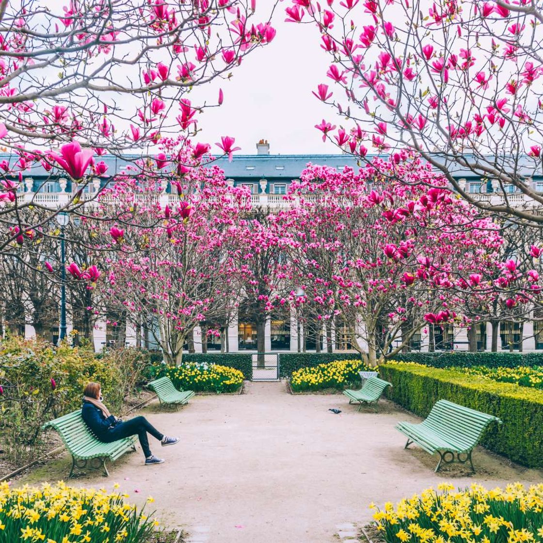 Lugar JARDIN PALACIO REAL