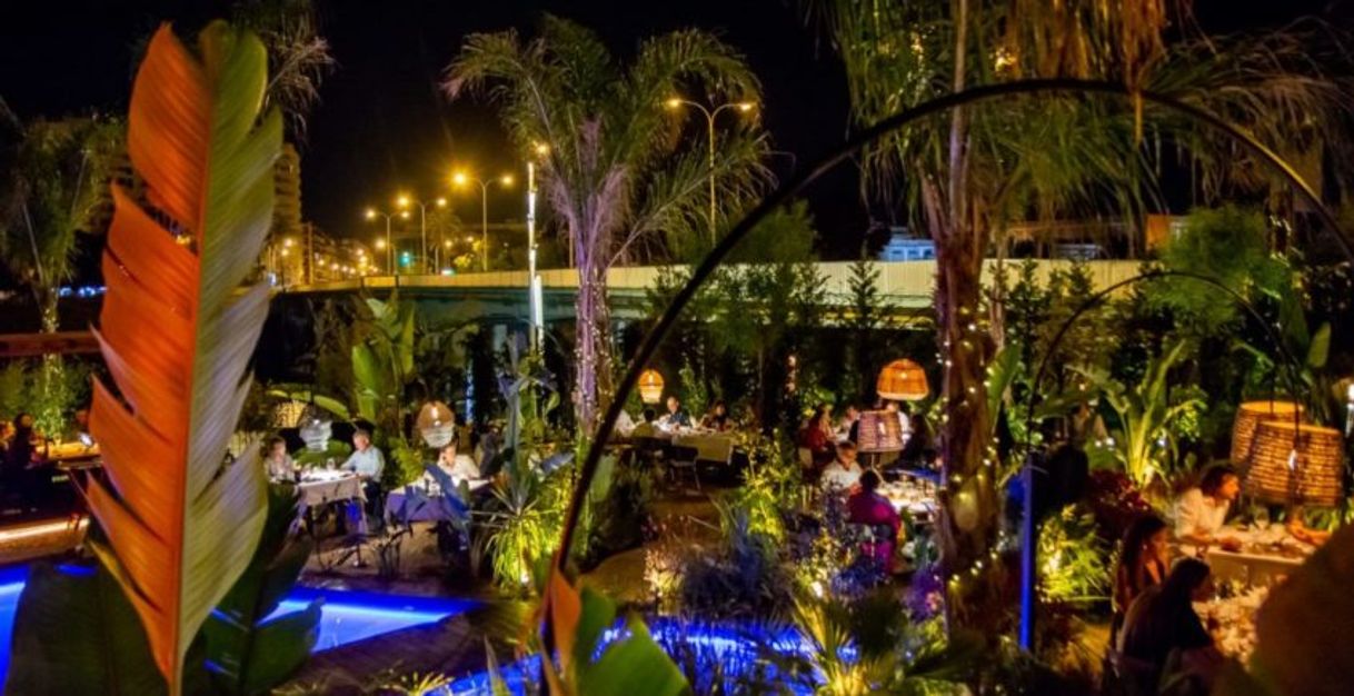 Restaurants Maquiavelo