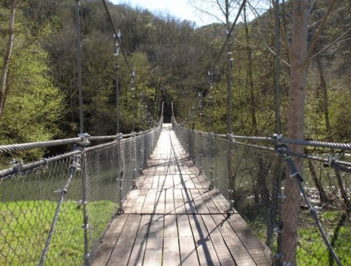 Lugar Puente Colgante Villadepalos