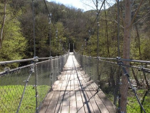 Puente Colgante Villadepalos