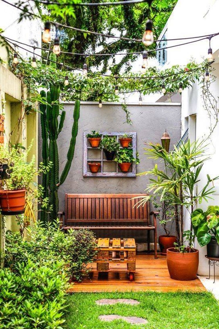 Moda Área Externa - Decoração Plantas 