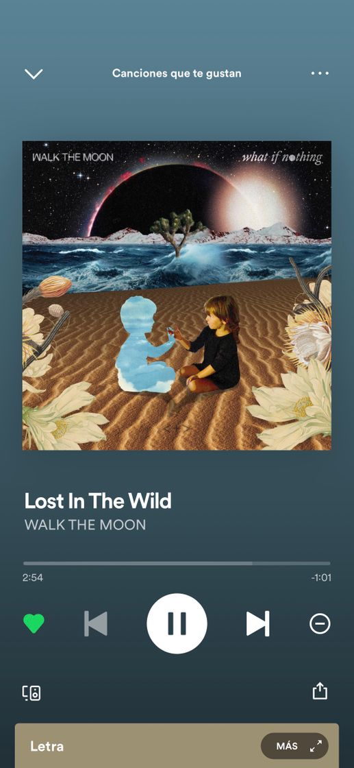 Canción Lost in the Wild 