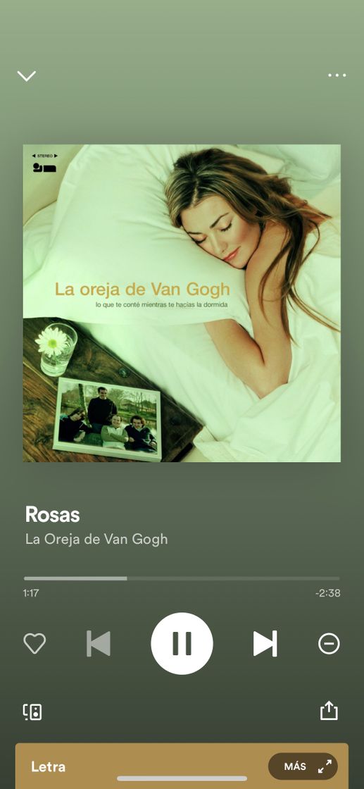 Canción Rosas