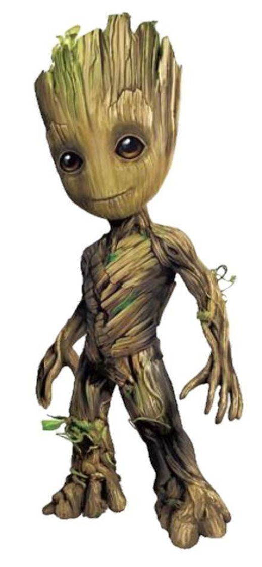 Fashion Groot