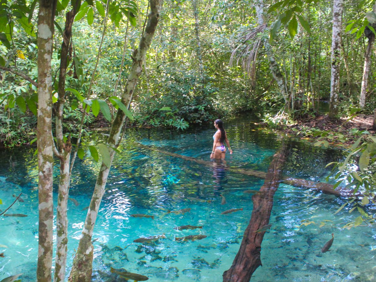 Lugares Aquário Encantado nobres