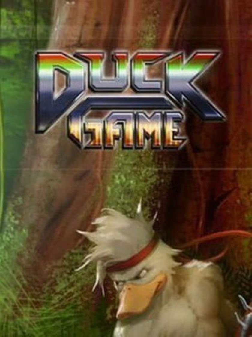 Videogames Duck Game