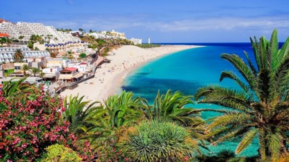 Lugar Islas Canarias