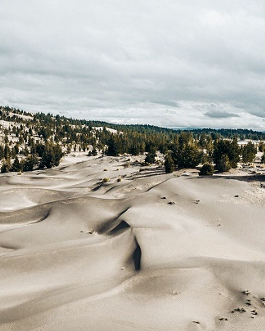 Place Desierto de Palmira