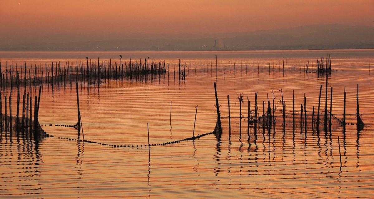 Place Albufera de Valencia