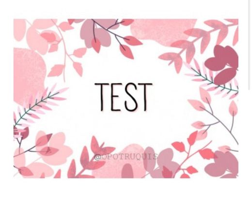 Plantilla de test 