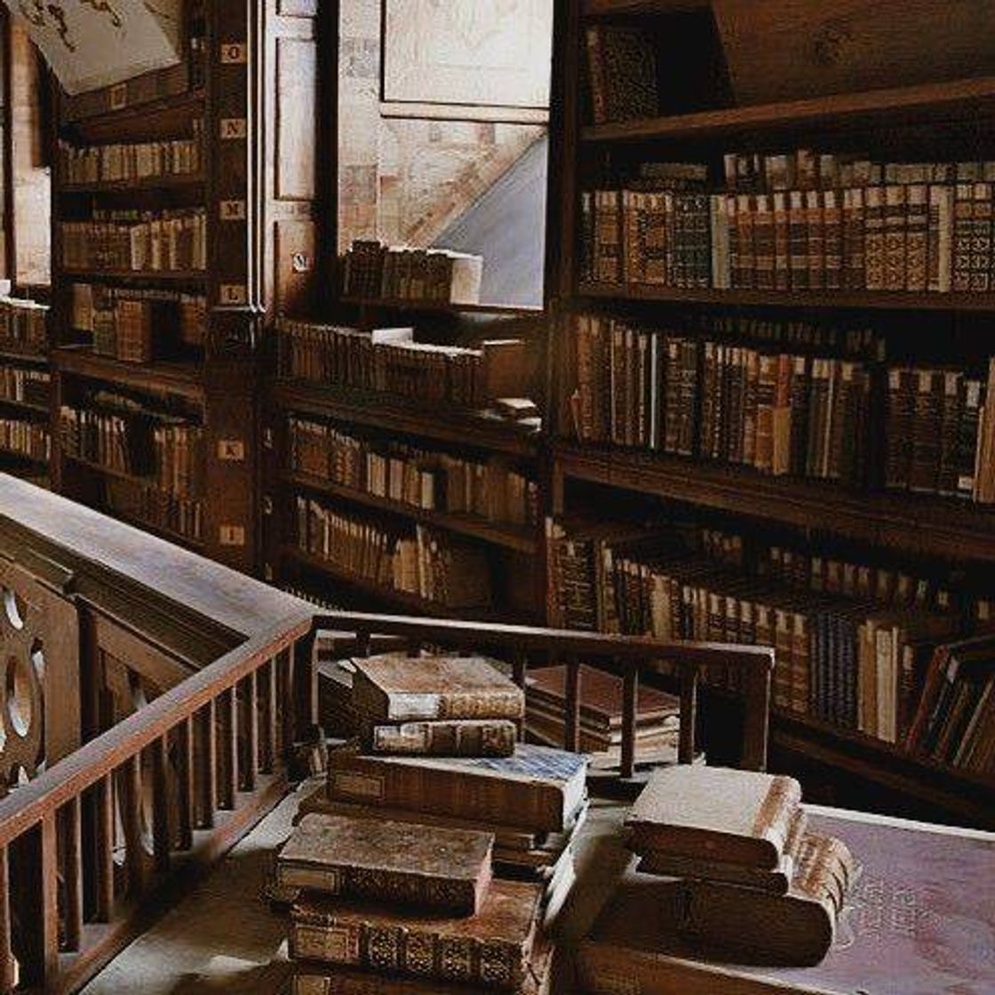 Social biblioteca dark academia