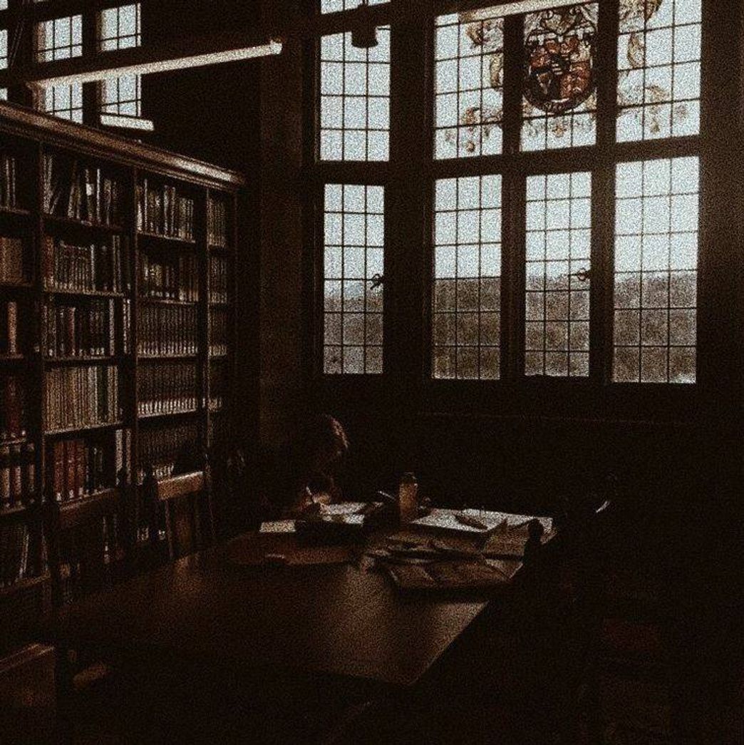 Social biblioteca aesthetic