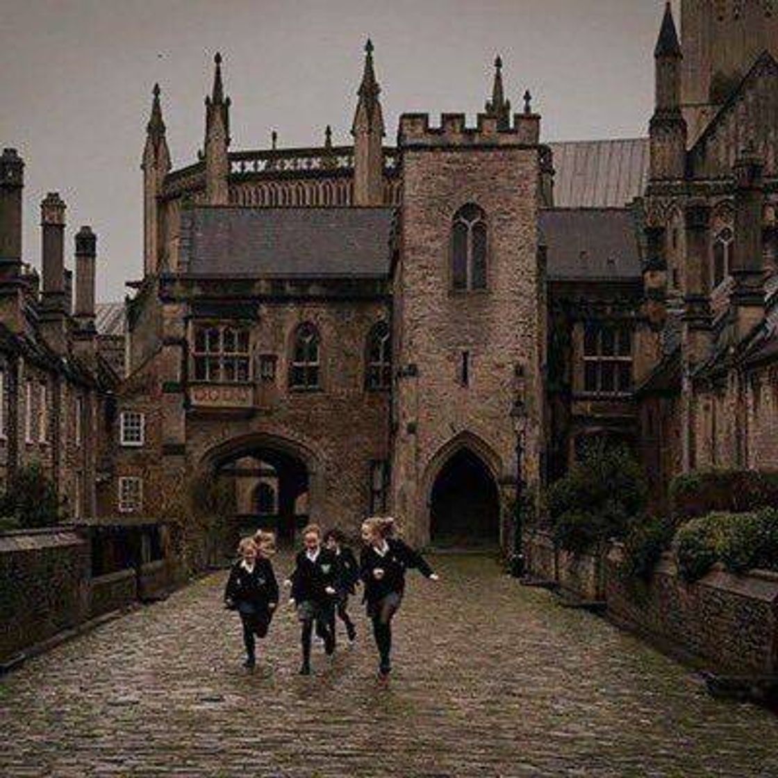 Social dark academia 