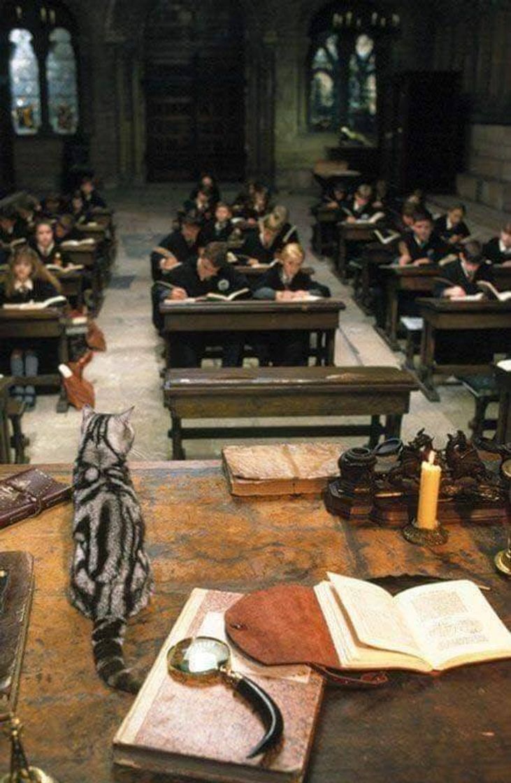 Social sala de aula de transfiguração