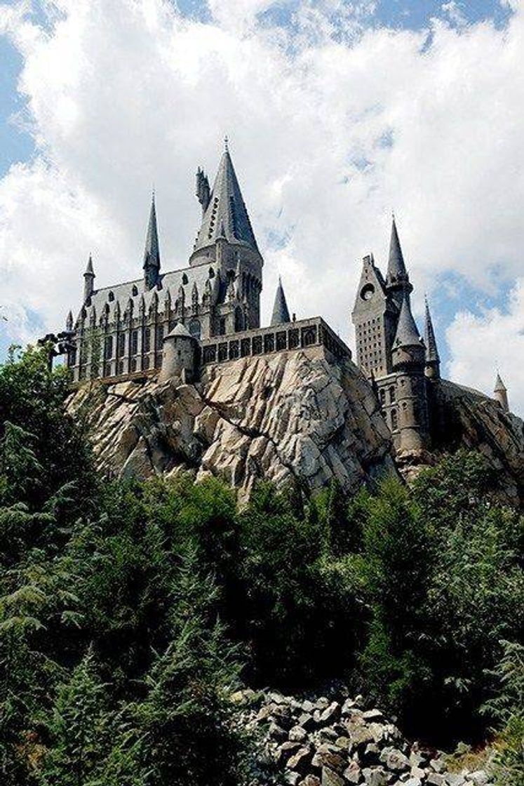Social hogwarts