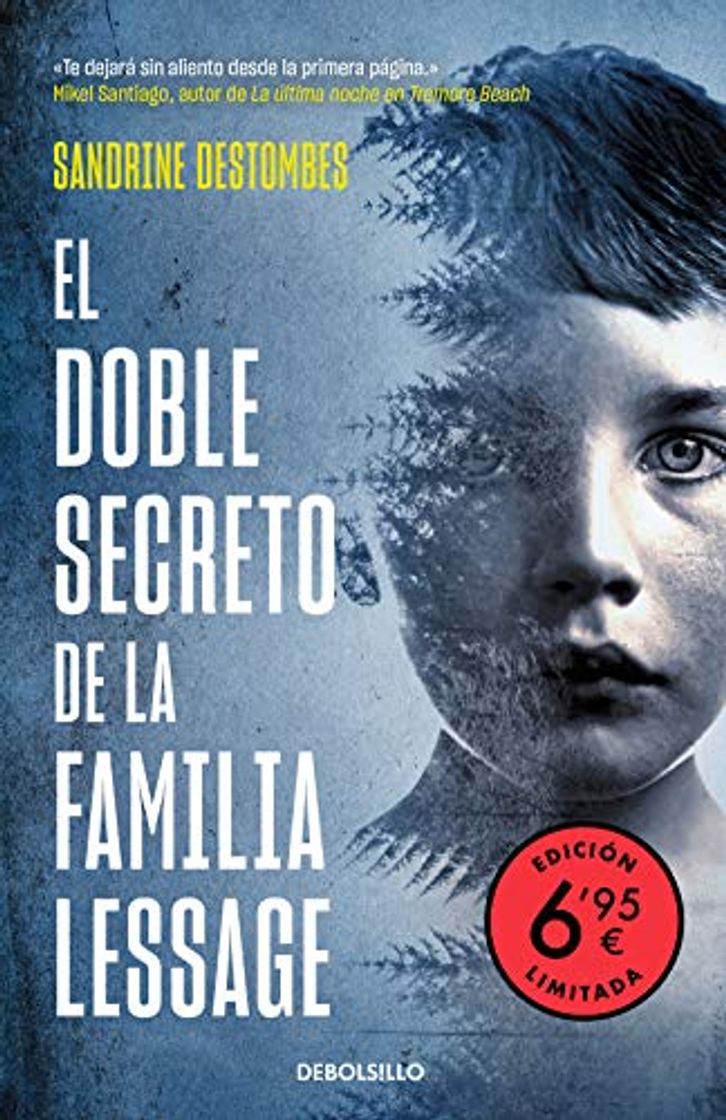 Books El doble secreto de la familia Lessage