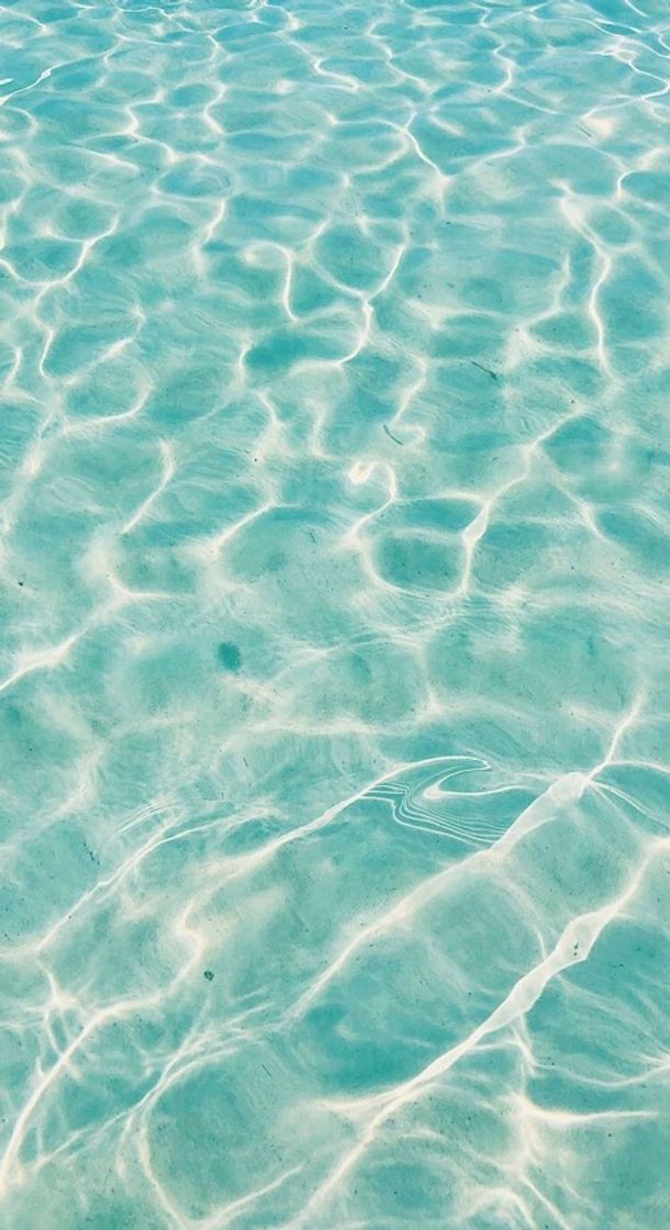 Social Wallpaper