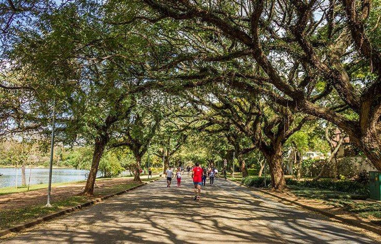 Lugar Parque Ibirapuera