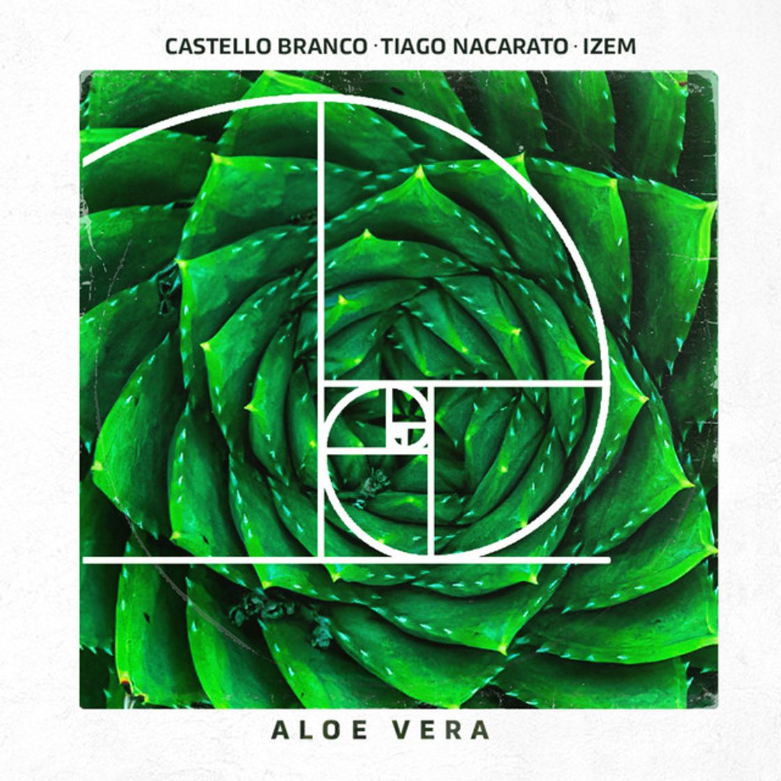 Canción Aloe Vera
