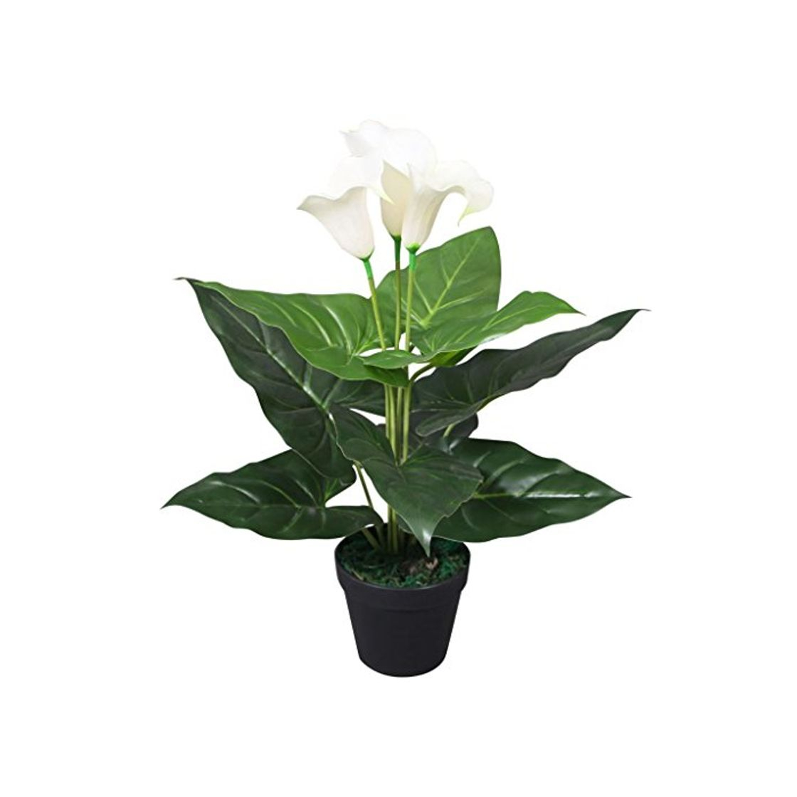 Product UnfadeMemory Cala Lilly,Planta Artificial Decorativa,Decoración de Hogar Oficina,con Macetero,9 Hojas y 3