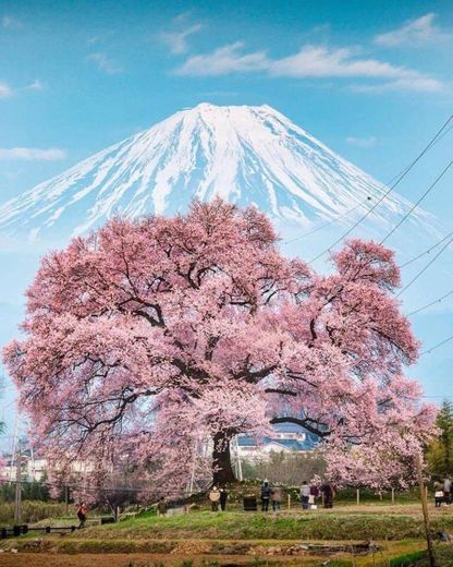Monte Fuji ⛰️