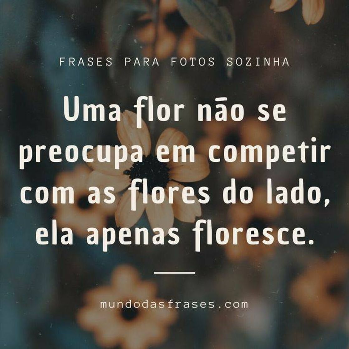 Moda Frases✨