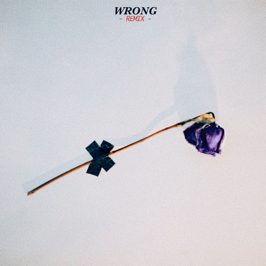 Canción Wrong (Remix)