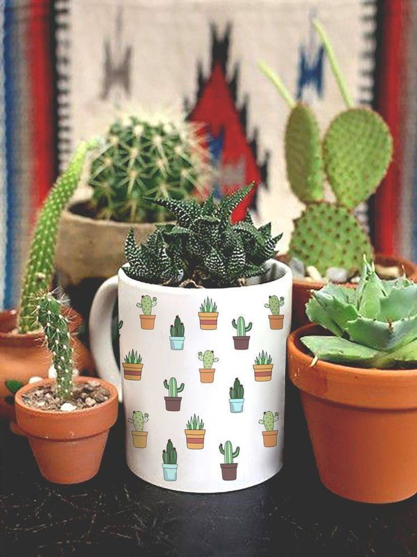 Fashion Plantinhas Mágicas 🦩🌵 