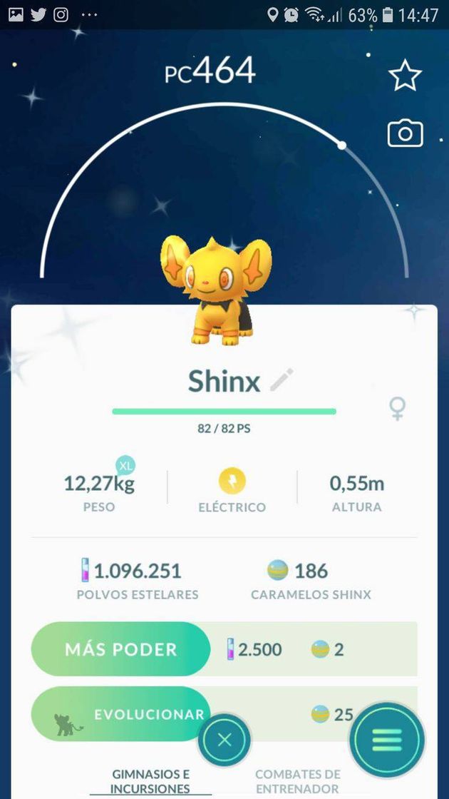 Fashion Shiny