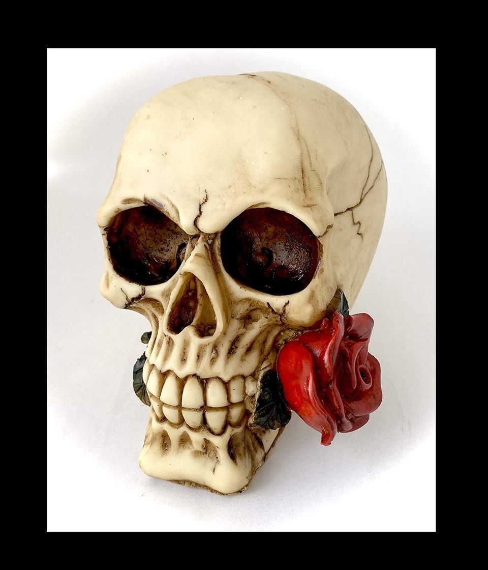 Calavera con rosa