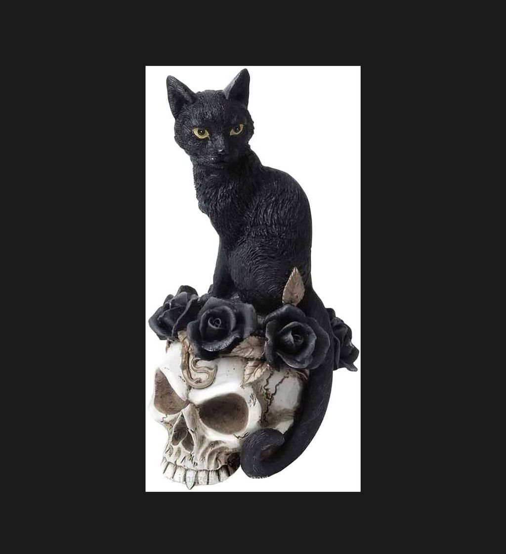Calavera con gato