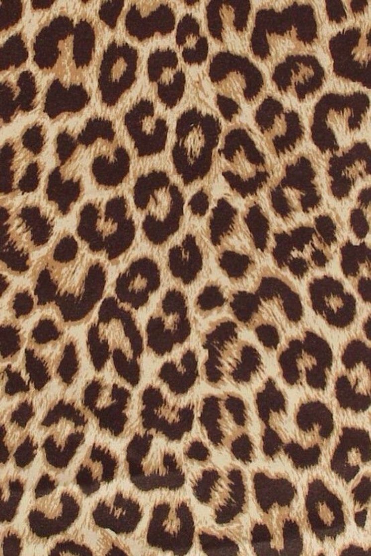 Social Leopardo 
