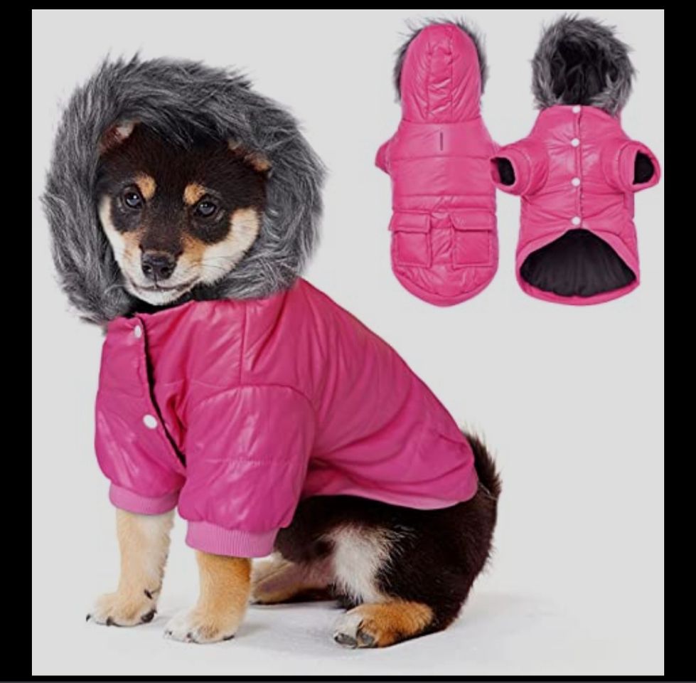 Social Cazadora con capucha de pelo