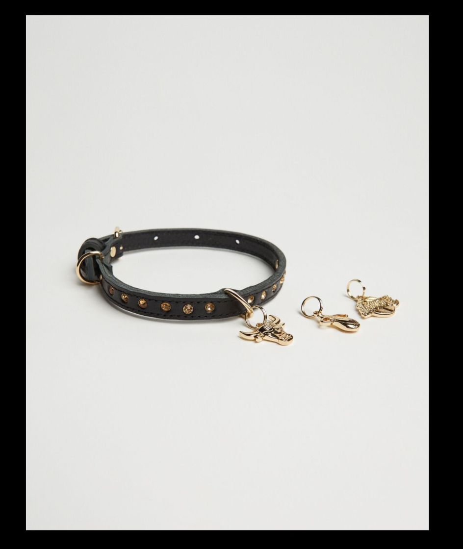 Social Collar mascotas NBA Bershka