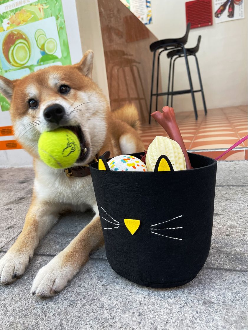 Social Cesta almacenamiento Shein