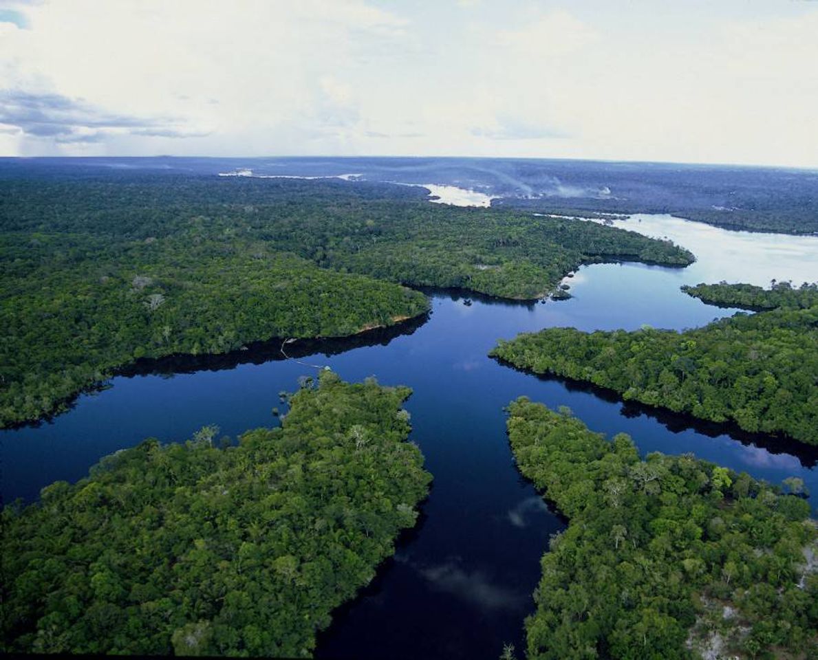 Moda Um Tour Pela Amazônia 