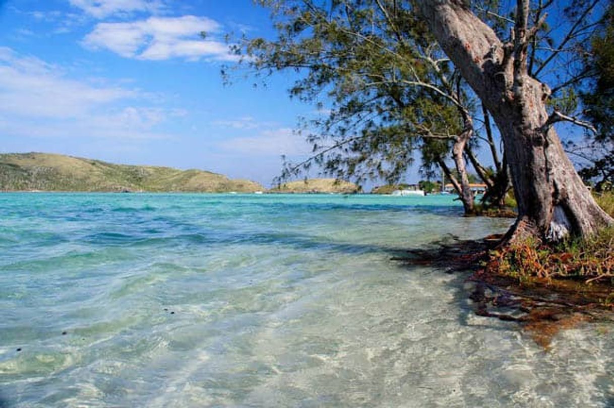Place Ilha do Japonês