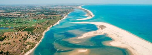 Ria Formosa Natural Park