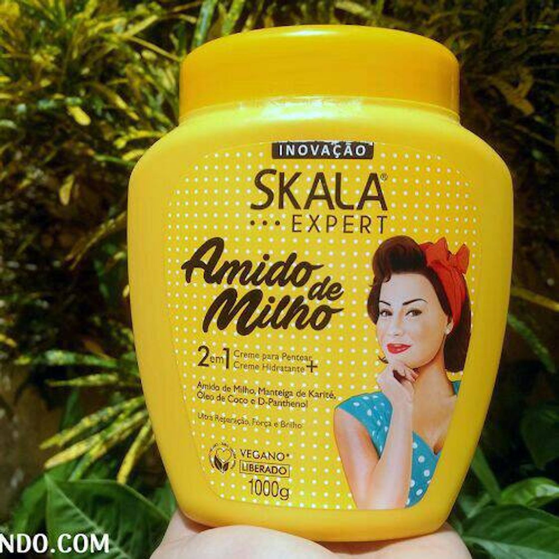 Product Skala Amido de Milho 🌽🤗✨