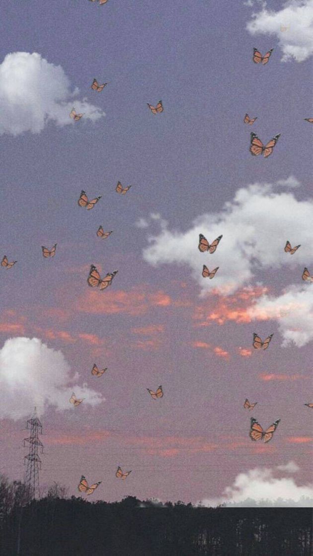 Fashion Wallpaper sky with butterflies 🦋☁️